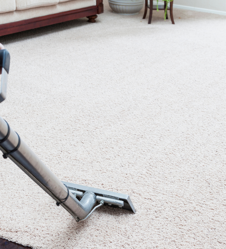 carpet cleaning after