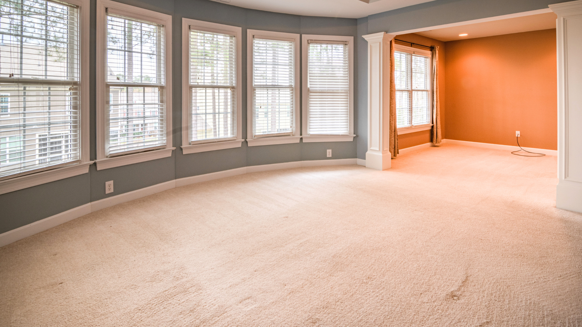 Carpet Cleaning Service
